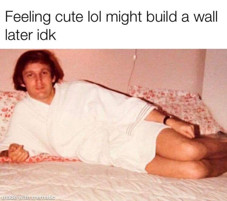 Trump memes - feeling cute might build a wall - Feeling cute lol might build a wall later idk made with mematic