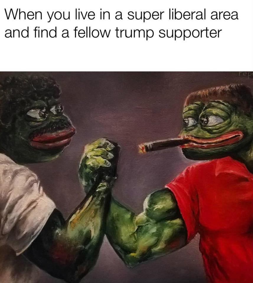 Trump memes - asfa - When you live in a super liberal area and find a fellow trump supporter