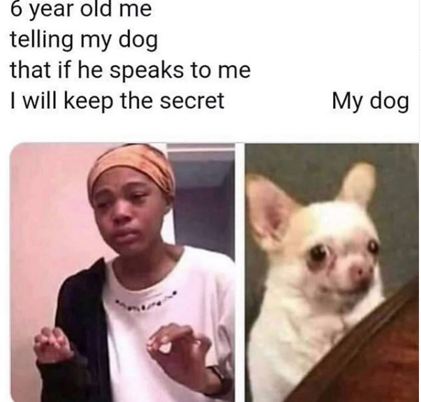 Doggo meme - Humour - 6 year old me telling my dog that if he speaks to me I will keep the secret My dog