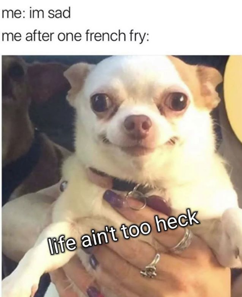 Doggo meme - life ain t too heck - me im sad me after one french fry life ain't too heck