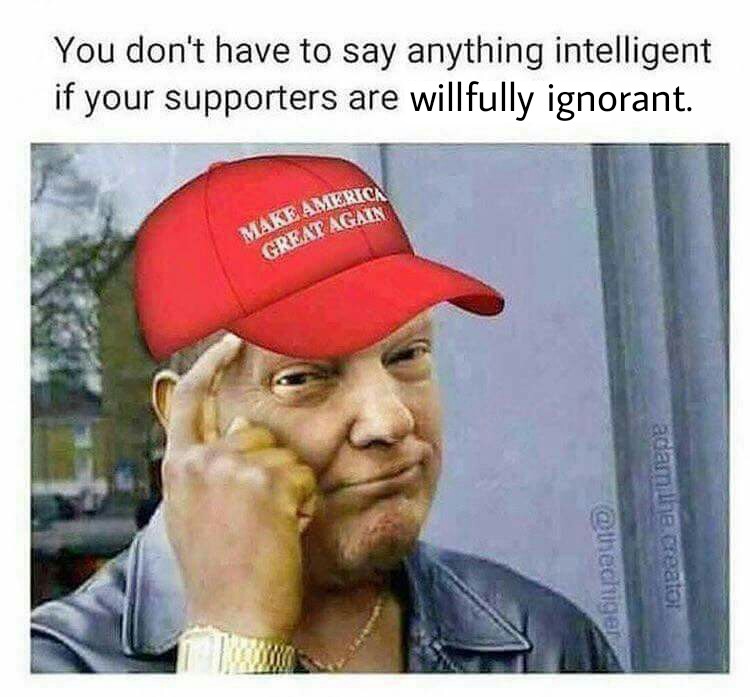 trump supporters retarded meme - You don't have to say anything intelligent if your supporters are willfully ignorant. Make Amerio Great Again area alturepe