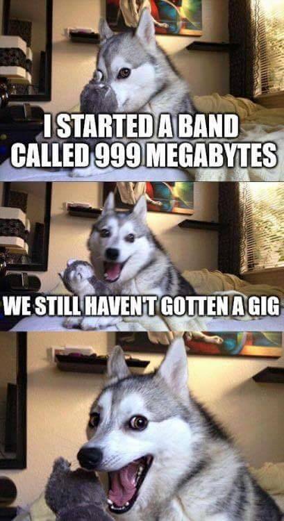 Doggo meme - pun dog meme - I Started A Band Called 999 Megabytes We Still Havent Gotten Agig