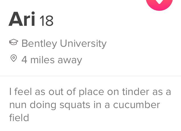 Funny tinder profile - document - Ari 18 Bentley University 4 miles away I feel as out of place on tinder as a nun doing squats in a cucumber field