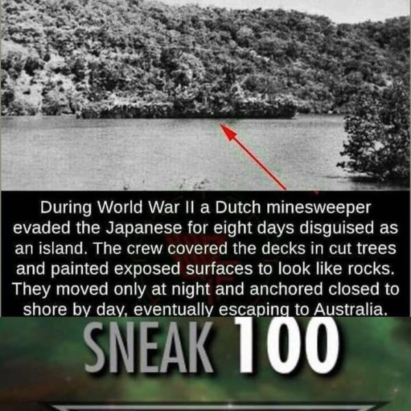 hnlms abraham crijnssen - During World War Ii a Dutch minesweeper evaded the Japanese for eight days disguised as an island. The crew covered the decks in cut trees and painted exposed surfaces to look rocks. They moved only at night and anchored closed t