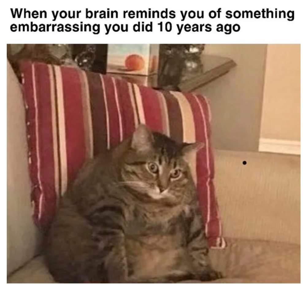 Depression meme - cat meme - When your brain reminds you of something embarrassing you did 10 years ago