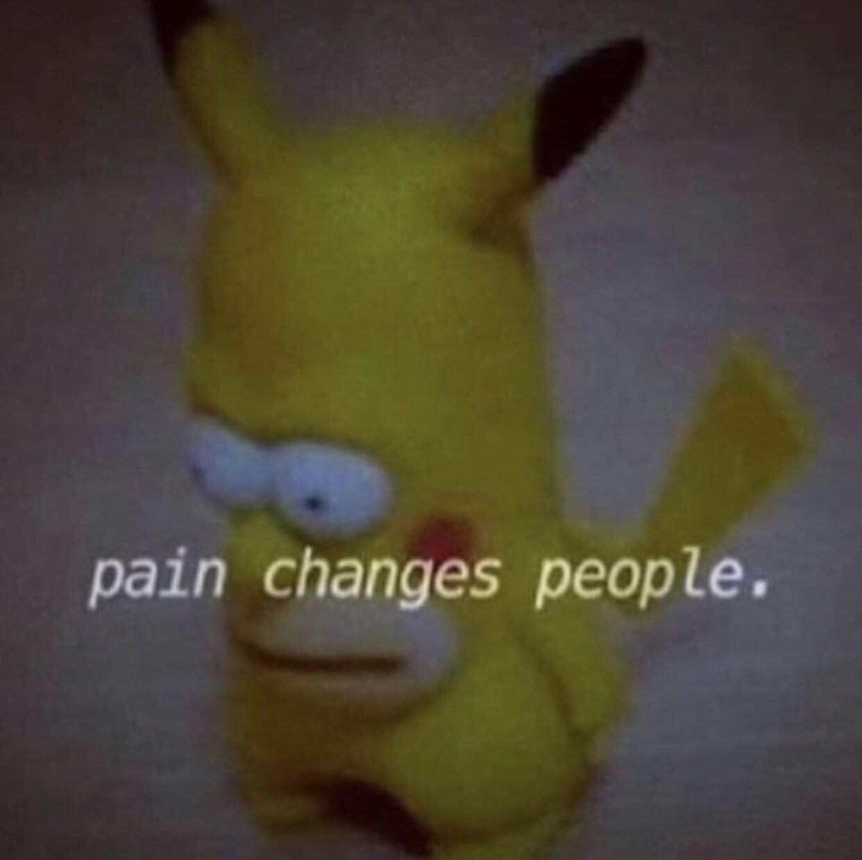 Depression meme - stuffed toy - pain changes people.