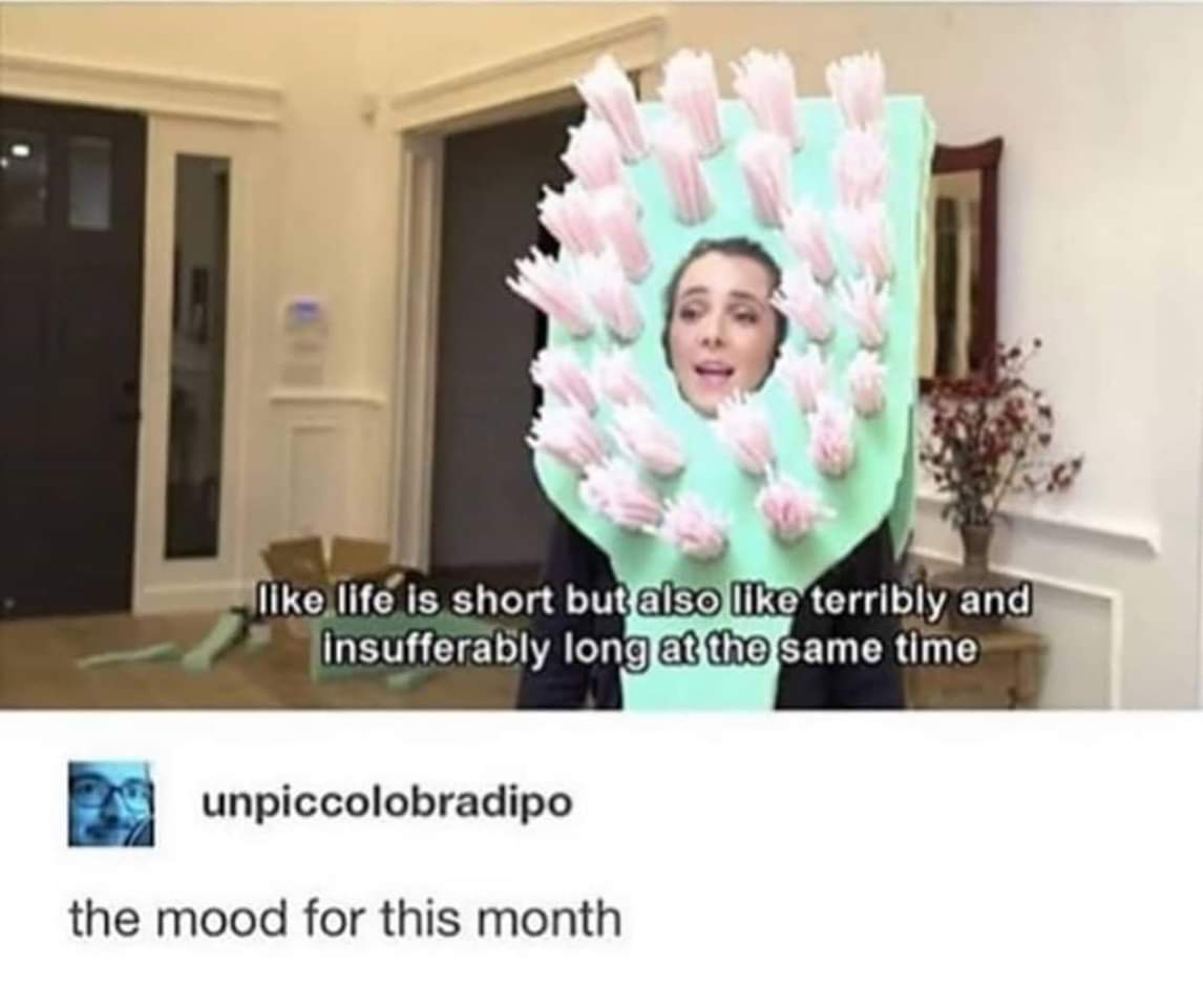 Depression meme - jenna marbles life is short - life is short but also terribly and insufferably long at the same time unpiccolobradipo the mood for this month