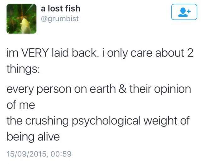 Depression meme - a lost fish im Very laid back. I only care about 2 things every person on earth & their opinion of me the crushing psychological weight of being alive 15092015,
