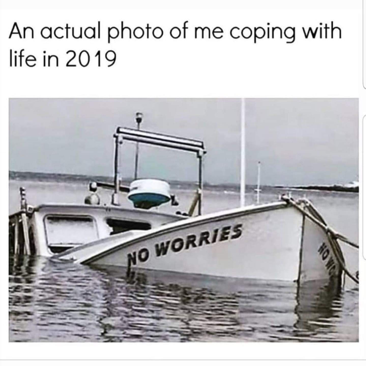 Depression meme - yeah no worries - An actual photo of me coping with life in 2019 No Worries