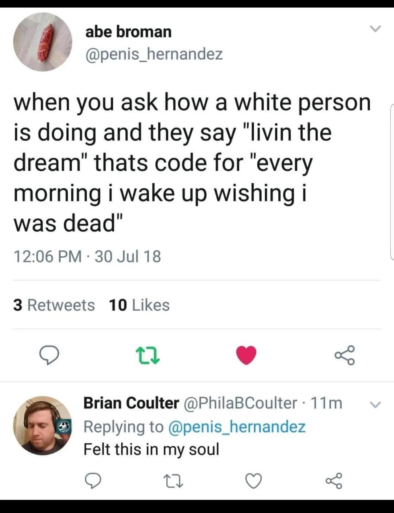 Depression meme - screenshot - abe broman when you ask how a white person is doing and they say "livin the dream" thats code for "every morning i wake up wishing i was dead" 30 Jul 18 3 10 v b e Brian Coulter 11m Felt this in my soul 22