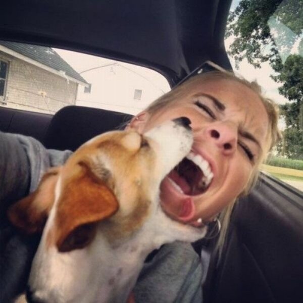 selfie with dog in car