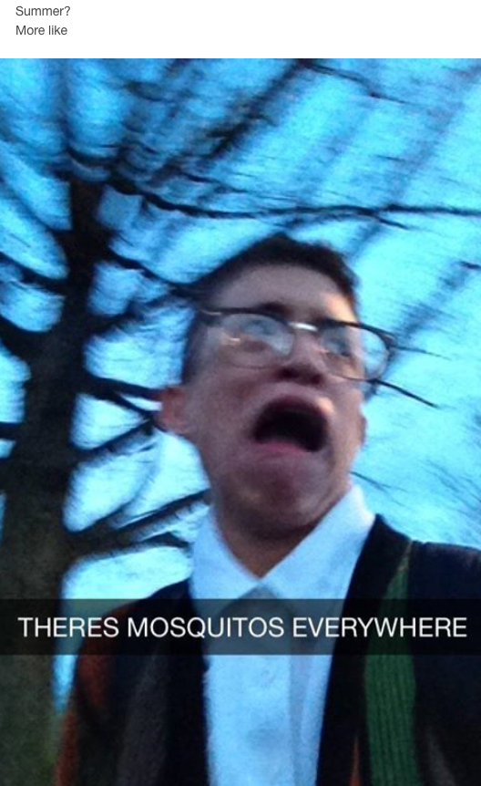 summer memes - parkour memes - Summer More Theres Mosquitos Everywhere