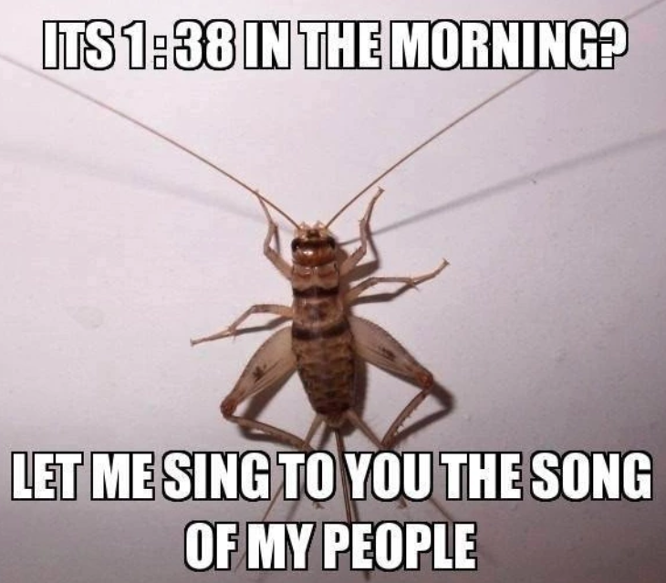 summer memes - pest - Its In The Morning? Let Me Sing To You The Song Of My People