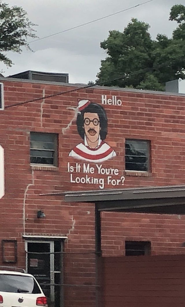 funny picture - wall - Hello Is It Me You're Looking for?