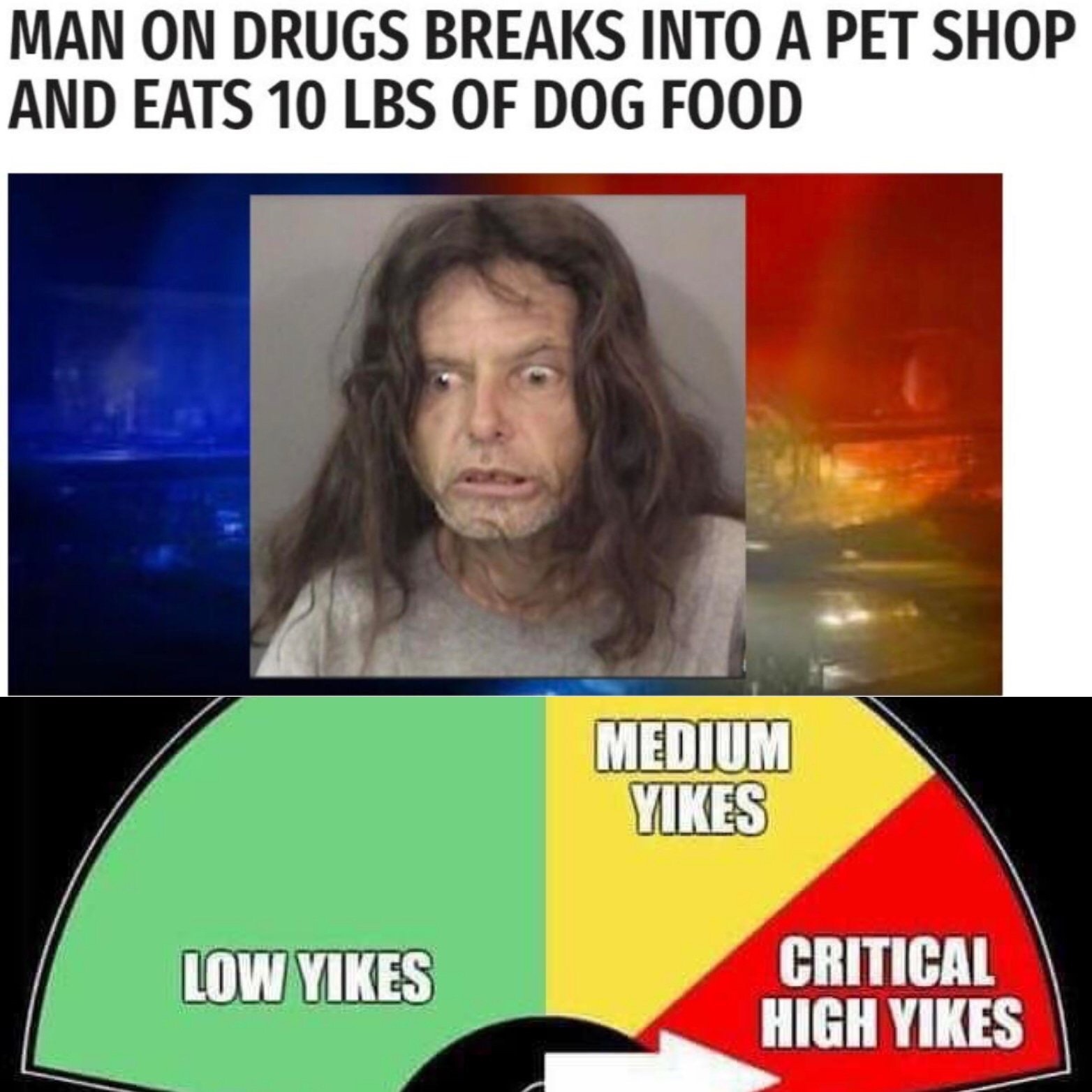 funny picture - photo caption - Man On Drugs Breaks Into A Pet Shop And Eats 10 Lbs Of Dog Food Medium Yikes Low Yikes Critical High Yikes