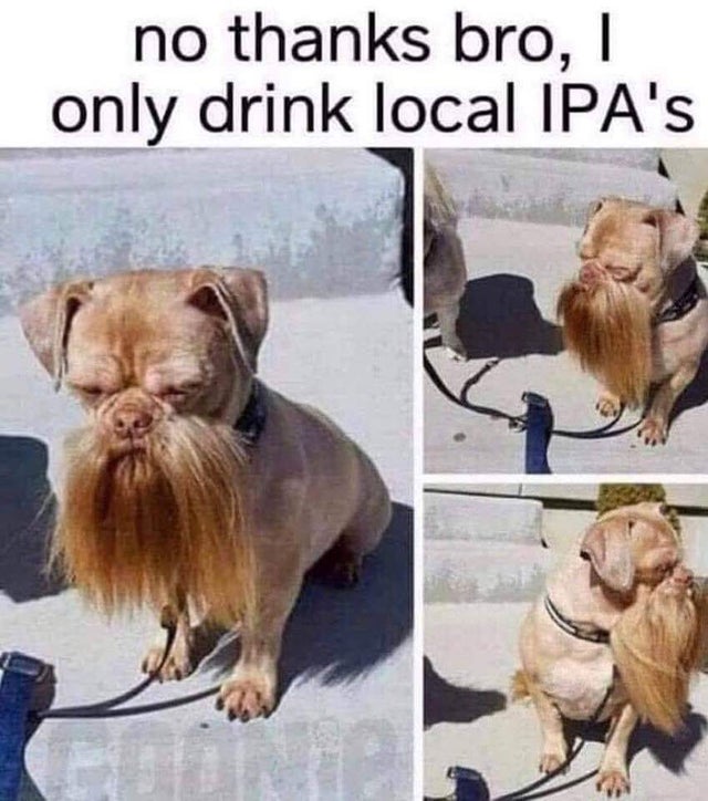 funny picture - only drink local ipas - no thanks bro, 1 only drink local Ipa's