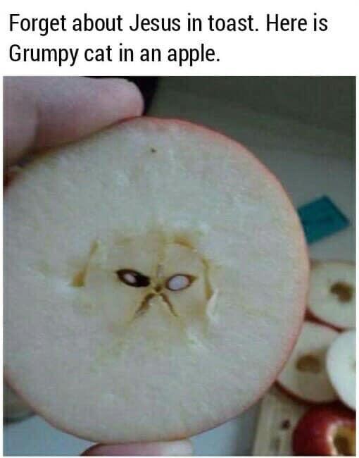 funny picture - grumpy cat apple - Forget about Jesus in toast. Here is Grumpy cat in an apple.
