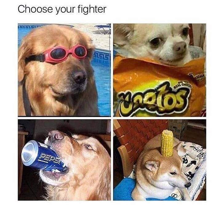 funny picture - choose your fighter meme - Choose your fighter Mados Peps . go www