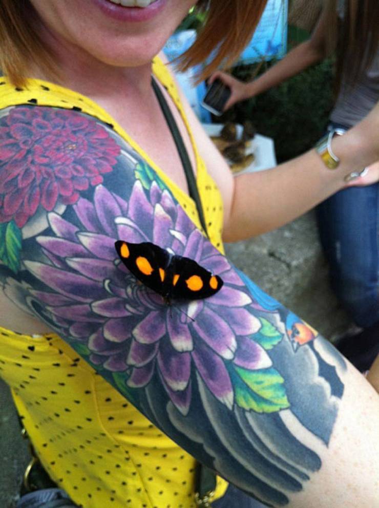 realistic butterfly & flower tattoo