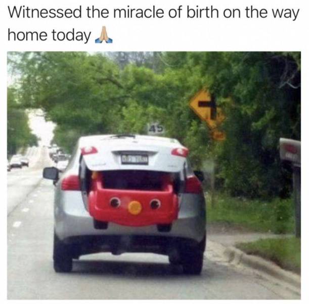 miracle of birth car meme - Witnessed the miracle of birth on the way home today