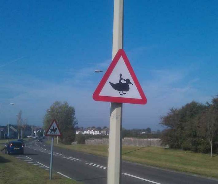porthcawl duck sign