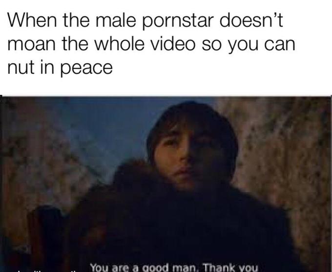 Meme - When the male pornstar doesn't moan the whole video so you can nut in peace You are a good man. Thank you