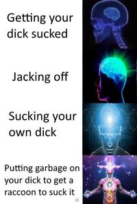 expanding brain meme - Getting your dick sucked Jacking off Sucking your own dick Putting garbage on your dick to get a raccoon to suck it