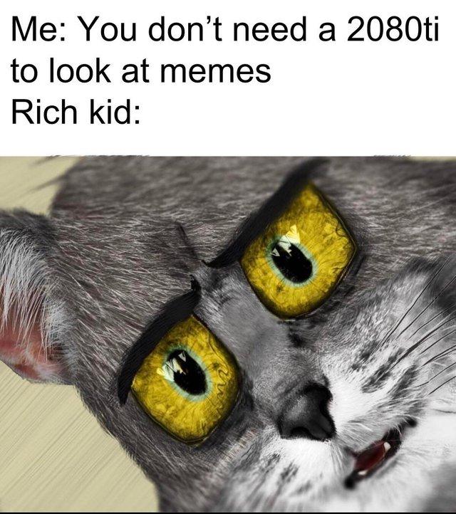 edgy unsettled tom memes - Me You don't need a 2080ti to look at memes Rich kid