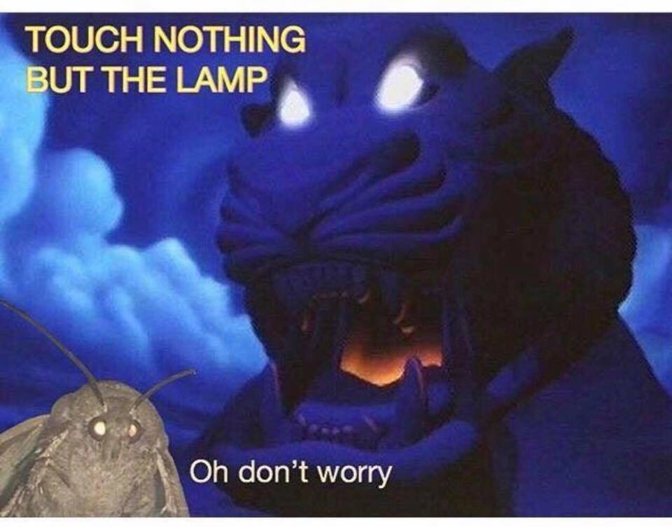 moth memes - Touch Nothing But The Lamp Oh don't worry