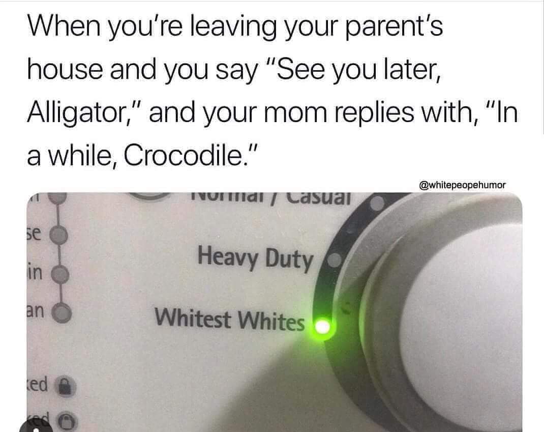 see you later alligator in awhile crocodile meme - When you're leaving your parent's house and you say "See you later, Alligator," and your mom replies with, "In a while, Crocodile." Final Casuai Heavy Duty Whitest Whites