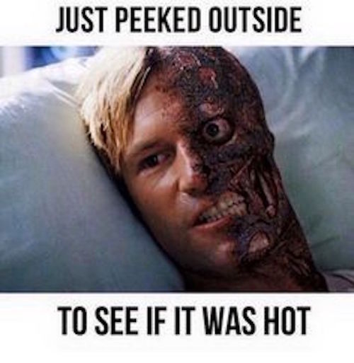summer memes summer meme - Just Peeked Outside To See If It Was Hot
