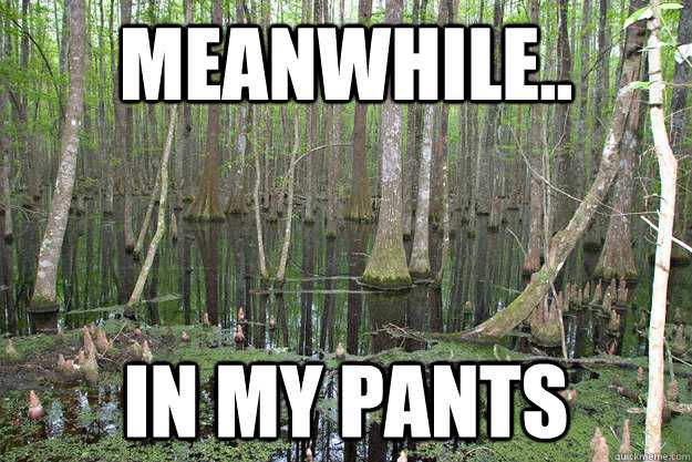 summer meme parts dept meme - Meanwhile. In My Pants |