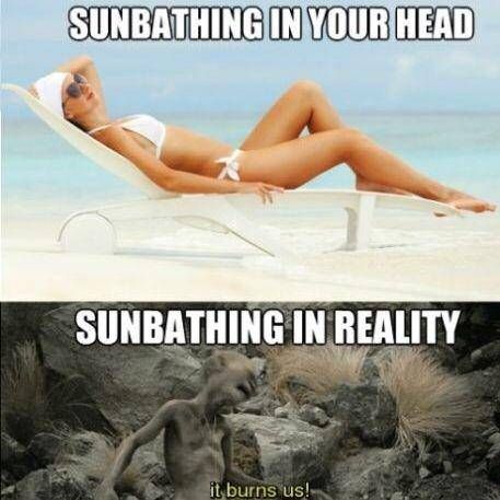summer meme funny sunbathing memes - Sunbathing In Your Head Sunbathing In Reality it burns us!