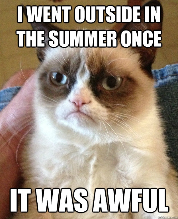 summer meme grumpy cat i m so excited - I Went Outside In The Summer Once It Was Awful