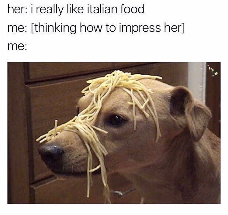 funny animals - doggo with spaghetti on his head - her i really italian food me thinking how to impress her me