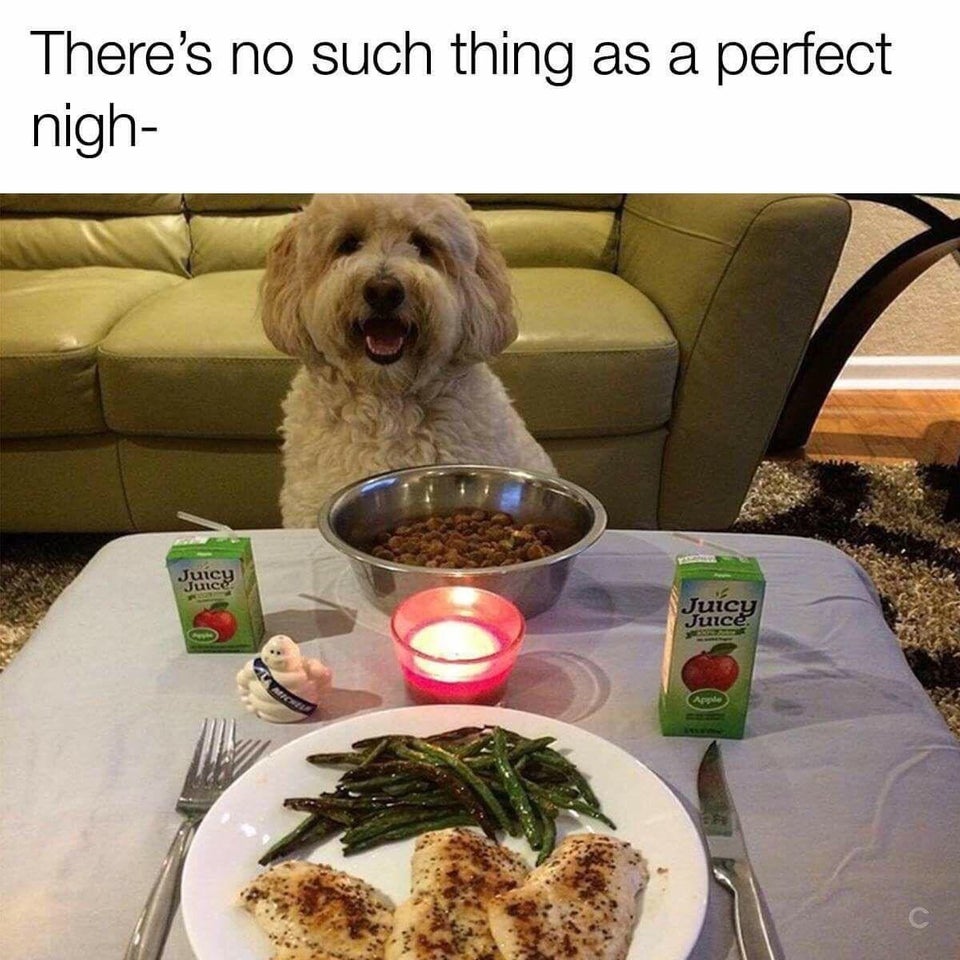 funny animals - there's no such thing as the perfect meme - There's no such thing as a perfect nigh Juicy Juice
