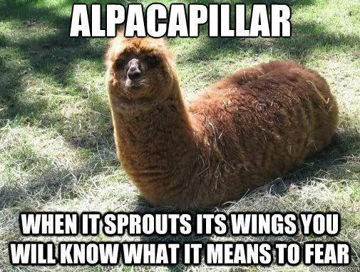 funny animals - creation museum - Alpacapillar When It Sprouts Its Wings You Will Know What It Means To Fear SUICKde.com