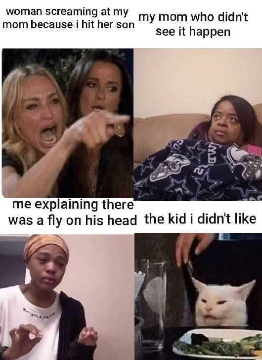 woman yelling at cat meme - Meme - woman screaming at my my mom who didn't mom because i hit her son see it happen me explaining there was a fly on his head the kid i didn't