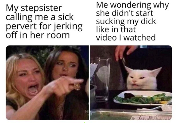 woman yelling at cat meme - Meme - My stepsister calling me a sick pervert for jerking off in her room Me wondering why she didn't start sucking my dick in that video I watched