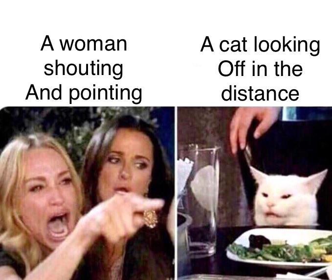 A woman shouting and pointing A cat looking Off in the distance