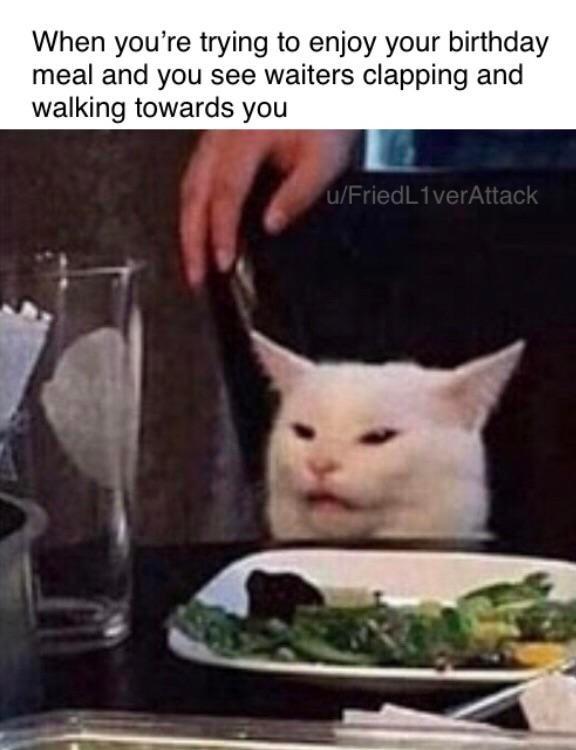 woman yelling at cat meme - Meme - When you're trying to enjoy your birthday meal and you see waiters clapping and walking towards you uFriedLiverAttack