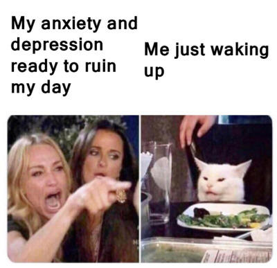woman yelling at cat meme - Meme - My anxiety and depression Me just waking ready to ruin up my day