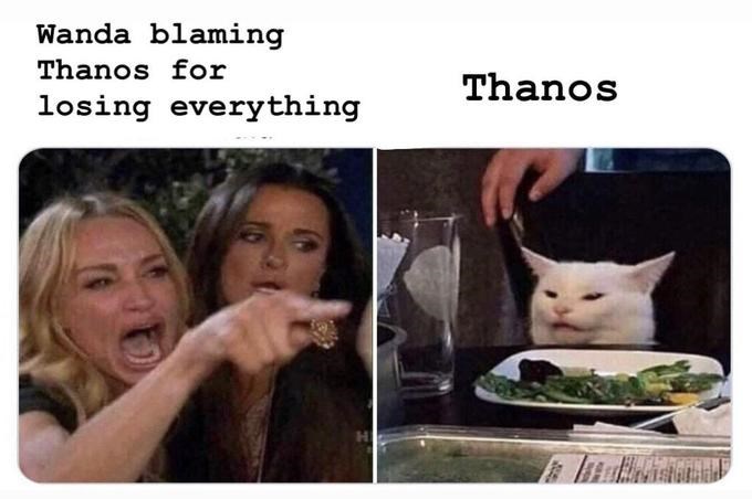 woman yelling at cat meme - Meme - Wanda blaming Thanos for losing everything Thanos