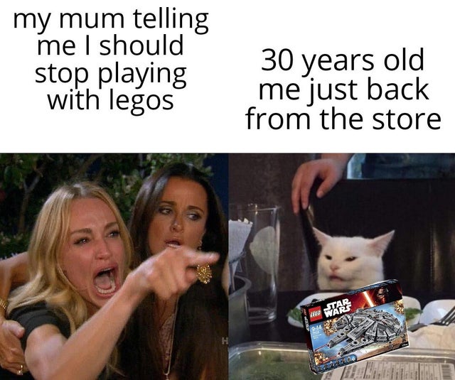 woman yelling at a cat meme where the woman is yelling 'my mum telling me i should stop playing with legos' and the cat caption is '30 years old me just back from the store' and the cat is holding a lego Millenium Falcon box