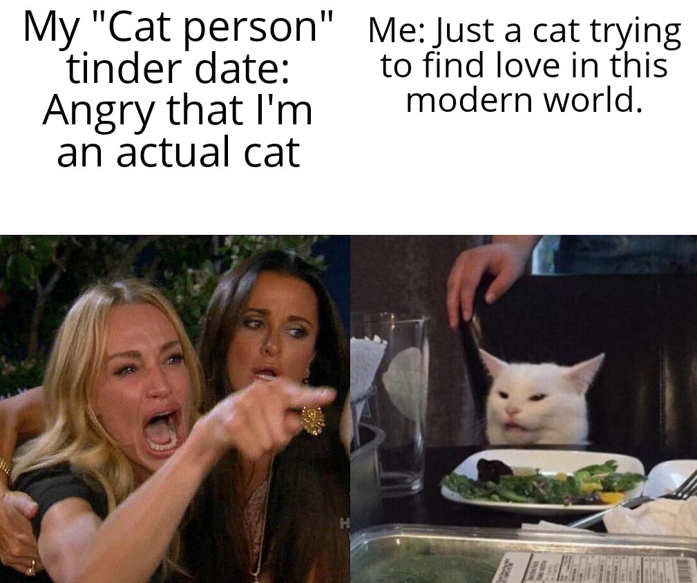 woman yelling at cat meme - my tinder date is a cat