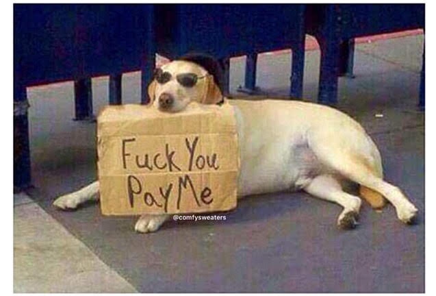 work meme - dog with fuck you pay me sign - Fuck You Payme