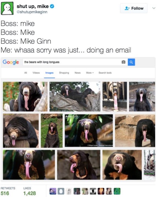 work meme - sun bear tongue - shut up, mike 2 Boss mike Boss Mike Boss Mike Ginn Me whaaa sorry was just... doing an email Google the bears with long tongues Al Videos Images Shopping News More Search tools 516 1,428 Cobilio