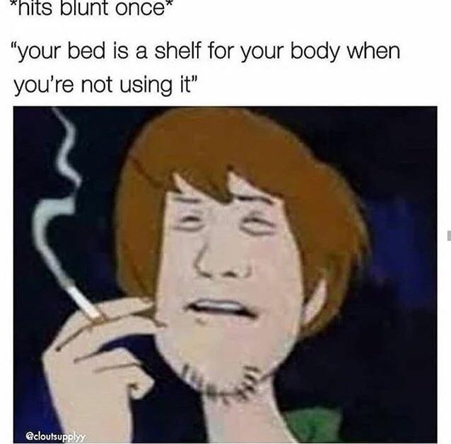 weed meme- shaggy with a blunt - hits blunt once "your bed is a shelf for your body when you're not using it"