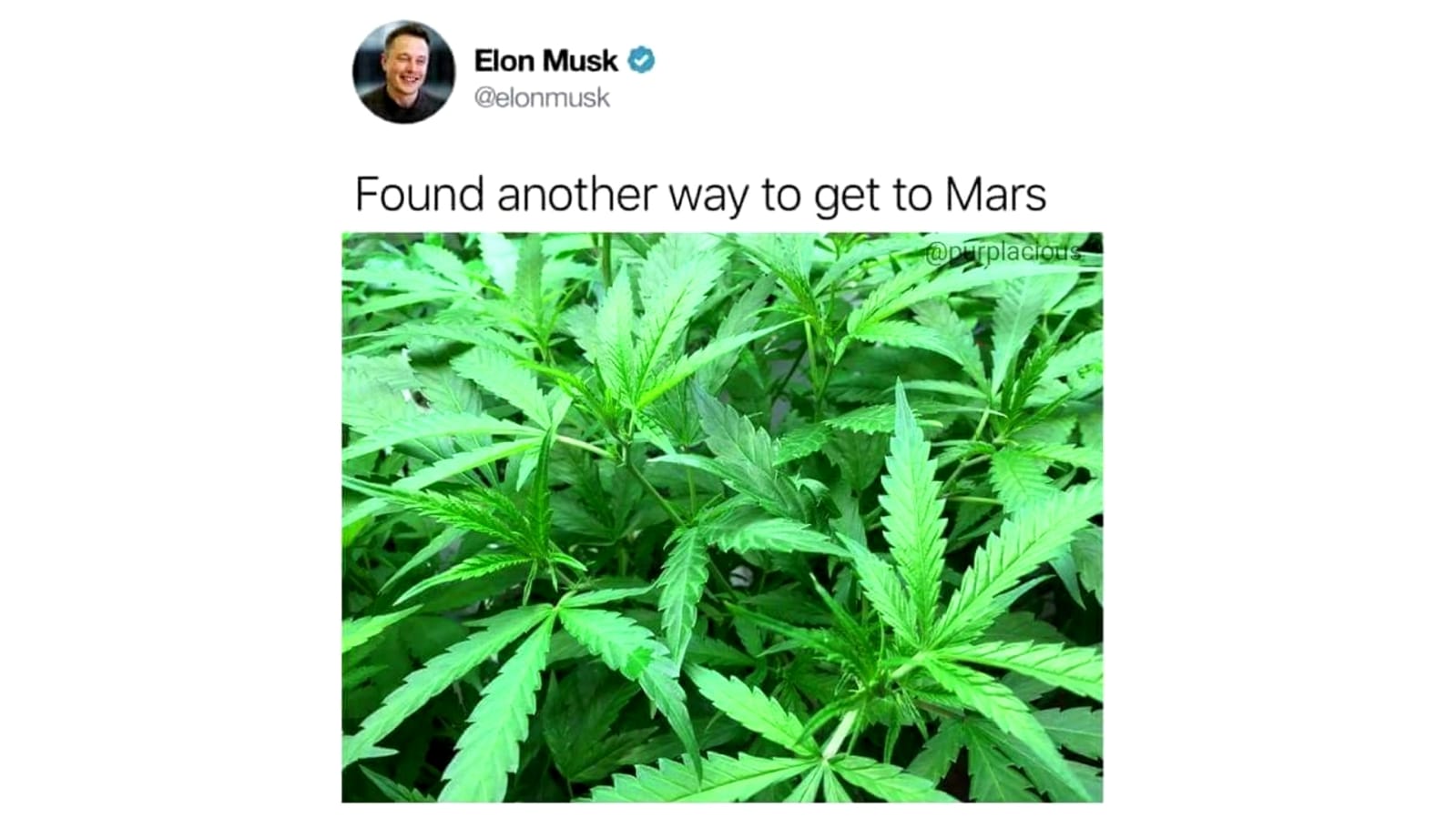 weed meme- elon musk weed memes - Elon Musk Elon Muske Found another way to get to Mars