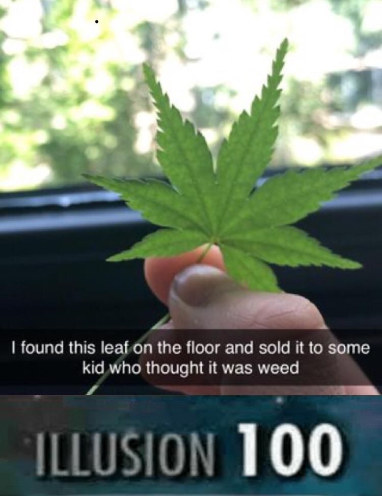 weed meme- skyrim intelligence 100 - I found this leaf on the floor and sold it to some kid who thought it was weed Illusion 100